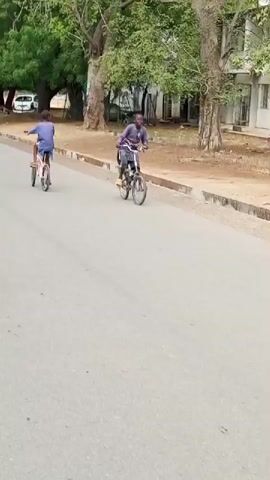 A young person rides a bicycle on a gray asphalt road. The child is wearing a blue long-sleeved shirt, shorts, and sandals. They perform a wheelie while riding. Behind them is a grassy area and a light-colored building with windows. Several trees are scattered around the scene. The road has a gray concrete curb along the edge.