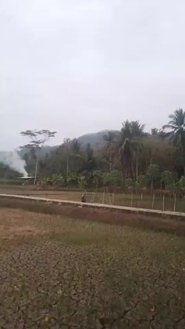 The video shows a rural landscape. In the foreground, there is a dry field. A raised, paved path or road runs horizontally across the middle ground. Beyond the path, there is a rice paddy with some water. In the background, there is a dense cluster of trees, including palm trees and banana trees, with a hill or mountain in the far distance. There is a building with a roof, from which a plume of white smoke is rising. Two chickens are visible walking on the path. The sky is overcast.