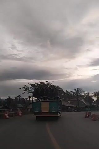 A truck loaded with palm fronds drives on a road. The sun is setting behind some trees and buildings. The sky is cloudy.