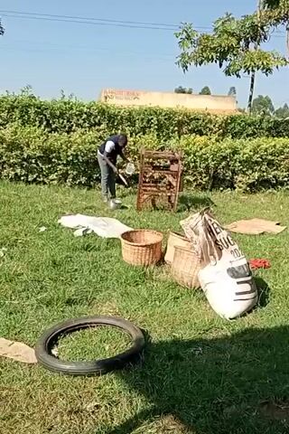 A person is in a grassy area, possibly a yard, near a hedge. They are wearing jeans and a dark blue shirt with white sleeves. The person is holding a tool, possibly a shovel or a broom, and appears to be sweeping or digging near a wooden structure. In the foreground, there are several objects on the grass, including a tire, two wicker baskets, a white sheet, a large white bag with writing on it, and a piece of cardboard. The background shows a building and trees. The lighting suggests it is daytime.