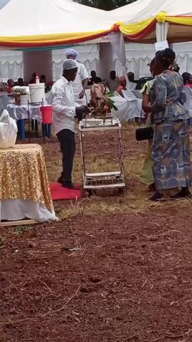 Here's a description of the video:

The video shows an outdoor event, possibly a wedding or celebration, taking place under a large white tent decorated with yellow and red fabric. The ground is covered in dirt and some patchy grass.

Several people are present, mostly women, dressed in colorful and patterned dresses. Some men are also visible in casual or semi-formal attire. People are mingling and chatting.

In the foreground, a man in a white shirt and dark pants is standing next to a small metal cart with a roasted pig on it. He appears to be preparing or serving the meat. Nearby, a table is set up with food, and a child is sitting on a red chair. The table is draped with a white cloth.

The overall atmosphere appears festive and social.