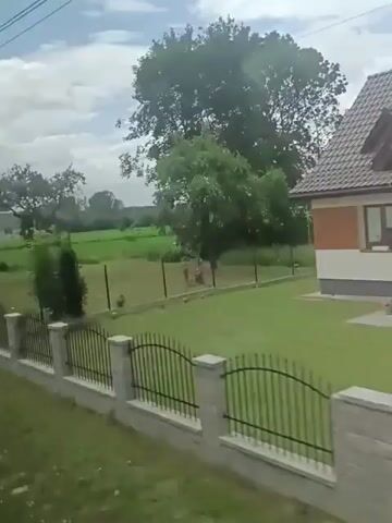 The video shows a view from a moving vehicle looking out over a rural landscape. In the foreground, there is a low, white fence with black metal railings. Beyond the fence is a grassy yard with a few small bushes and a larger tree. Further in the distance, there is a large, green field, possibly a farm field, with rows of crops. A long, white building, possibly a barn or agricultural structure, is visible in the middle ground. The sky is partly cloudy with patches of blue. The video appears to be filmed during the daytime.