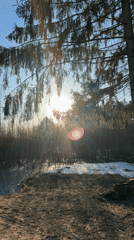 Morning Documentation of Rural Life in Chaikovsky, Russia