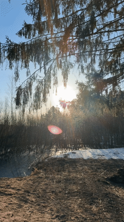 Morning Documentation of Rural Life in Chaikovsky, Russia