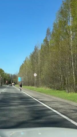 A car drives on a paved road beside a forest of tall, thin trees with green leaves. The sky is clear and blue. Two people are riding bicycles on the shoulder of the road, in the same direction as the car. The road has a white line separating the shoulder from the main lane. A 60 km/h speed limit sign is visible. A blue sign with white lettering is also seen. The camera appears to be mounted inside the car, showing the dashboard.
