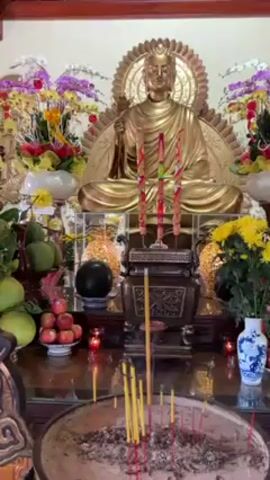 The video shows a close-up of a Buddhist altar. The main focus is a large, golden statue of a seated Buddha. In front of the statue is a dark metal incense burner with three large, decorated candles. In the foreground is a shallow bowl filled with ash and numerous burning incense sticks. The altar is decorated with colorful flowers, including orchids and chrysanthemums. There are also arrangements of fruit, including green gourds and red apples. Small red candles are placed on either side of the incense burner. The background is a plain, light-colored wall. The ceiling above is wooden. The camera slowly zooms in towards the Buddha statue.