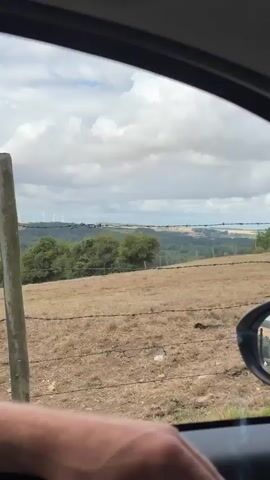The video shows a view from inside a car, looking out the window at a rural landscape. The foreground features a barbed wire fence and a wooden post. Beyond the fence, there is a dry, grassy field with several brown cows lying down. In the distance, there are trees, rolling hills, and a cloudy sky with some wind turbines visible on the horizon. The car's side mirror is also visible, reflecting a portion of the landscape. A person's hand rests on the car door frame. The camera appears to be moving slowly, as the perspective shifts slightly.
