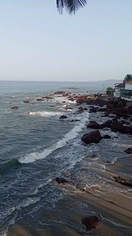 The video shows a coastal view of a beach, where the ocean meets the shore lined with large, reddish-brown rocks. Waves crash against the rocks and the sandy beach, creating foamy white water. The buildings are visible on the right side of the video, with a white exterior and red tile roofs.  In the top of the frame, a few palm leaves dangle down, suggesting the viewpoint is elevated and possibly under a palm tree.  The sky is a pale blue, indicating a sunny day. The scene is peaceful, with the focus on the natural elements of the ocean and coastline.