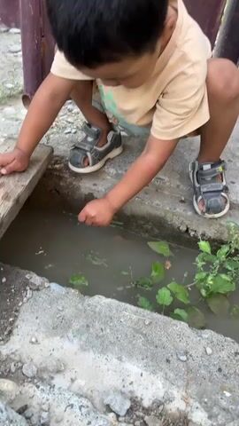 A young child wearing a light-colored t-shirt and sandals squats next to a narrow concrete ditch filled with murky water and green plants. The child is reaching a hand into the ditch, appearing to interact with something in the water. A wooden plank is positioned on the edge of the ditch to the child's left. The ground surrounding the ditch is rough and appears to be a mix of gravel and dirt. A portion of a dark-colored metal structure is visible in the background.