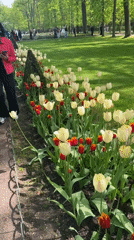 Tourists visit Peterhof Palace gardens and attractions in Russia