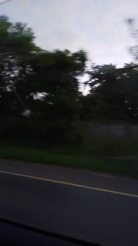 The video shows a view from inside a moving vehicle, likely a car, looking out the side window. The road is asphalt with a yellow dividing line and a green shoulder. On the far side of the road, there is dense foliage, primarily trees, making it difficult to see beyond. The sky is overcast and it appears to be early morning or late evening due to the subdued lighting. The focus is blurry due to the motion of the vehicle. An occasional red blur appears in the periphery, likely from passing tail lights.
