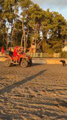 Sunset hour on Ureki's black sand beach, Black Sea
