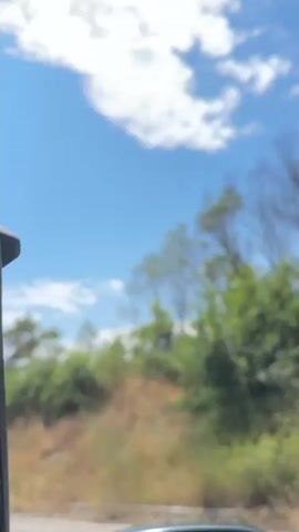 The video pans across a bright blue sky dotted with fluffy white clouds. Below the sky is a hillside covered in dry, golden grass and various green bushes and trees. Some of the trees are bare, while others are full of leaves. In the foreground, there is a white guardrail. The scene appears to be a scenic overlook.