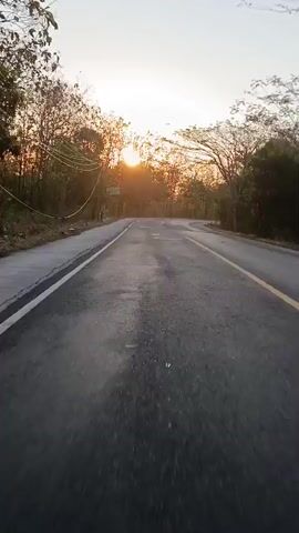 The video shows a paved road with a yellow dividing line. Trees line both sides of the road, and the sun is setting, casting a warm glow through the branches. The road appears to be curving to the right. There are power lines visible above the trees on the left side of the road. The surface of the road shows some wear and tear with patches and cracks.