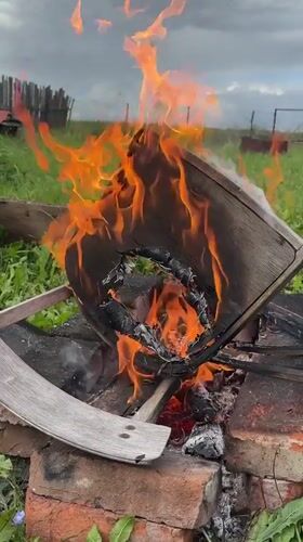 Backyard fire, grazing cattle, and ripe fruit trees on a rural property.