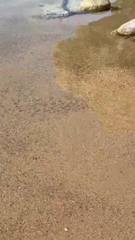 The video shows a sandy beach with shallow water. The sand is a mix of light brown and tan, with small pebbles scattered throughout.  The water is clear, and a few small rocks are visible at the edge of the water. The surface of the water is slightly rippled, possibly due to a gentle breeze. There is no evidence of people or animals in the video. The light is bright and casts shadows, suggesting a sunny day. The overall impression is one of a peaceful, natural scene.
