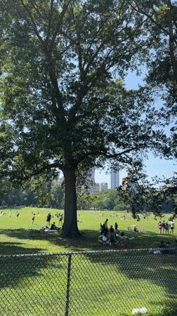 Live performance and lazy afternoon in a New York park