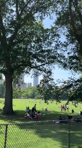 Live performance and lazy afternoon in a New York park