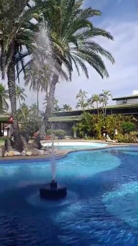 Resort pool gathering captured in Porlamar, Venezuela