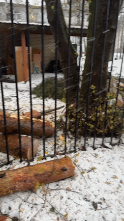 Late spring snow falls in Dmitrov, Russia