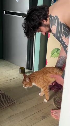 A man with dark curly hair and extensive tattoos on his left arm and shoulder is bending over an orange tabby cat. The man is wearing no shirt. He is holding the cat with both hands, one hand on its back and the other underneath its belly. The cat is facing away from the camera and appears to be sniffing the floor. The man is looking down at the cat. They are indoors, in what appears to be a kitchen or dining area. The floor is light-colored laminate. To the left, there is a tall stainless steel appliance, possibly a refrigerator. In the background, there is a wall with floral wallpaper. A white doorframe is visible in the foreground, partially obscuring the scene. A person's bare foot is visible in the lower right corner of the frame.