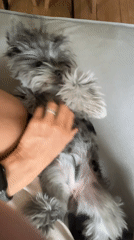 Everyday moments captured in Chaikovsky: pets, selfies, exercise