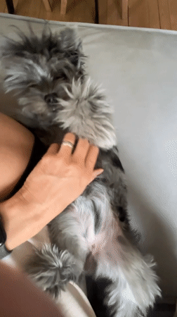 Everyday moments captured in Chaikovsky: pets, selfies, exercise