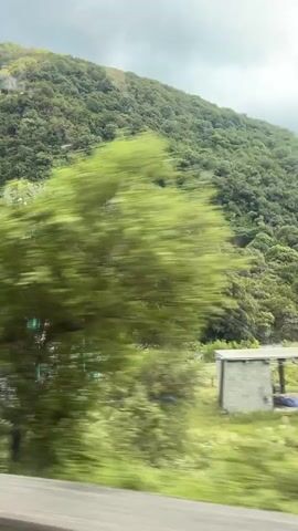 The video captures a scenic view of a mountainous landscape in Bzypta, Abkhazia. The scene is characterized by lush green vegetation covering the slopes of a large mountain, with a cloudy sky overhead suggesting overcast weather. In the foreground, blurred trees and foliage indicate motion, likely from a vehicle passing by.

Visible elements include a tall, green, pole-like structure with horizontal attachments, possibly part of an observation deck or a unique architectural feature. Further down, there are glimpses of buildings and what appears to be a small village or settlement nestled in the valley, with some structures featuring blue roofs. A body of water, possibly a river or lake, is visible between the vegetation and the base of the mountain, reflecting the sky.

The video's dynamic blur suggests it was filmed while traveling, likely by car or train, along a road or railway that runs parallel to the mountain and river. The overall impression is one of natural beauty and a sense of journey through a remote, verdant region. No people are clearly discernible due to the motion blur and distance. The time of day appears to be daytime, given the natural light, but the cloudy conditions create a diffused illumination. No text is visible in the video.