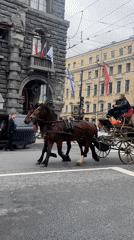 Coordinated gathering at Saint Petersburg's Wawelberg Hotel draws crowds