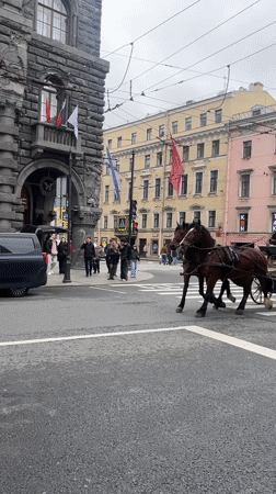 Coordinated gathering at Saint Petersburg's Wawelberg Hotel draws crowds