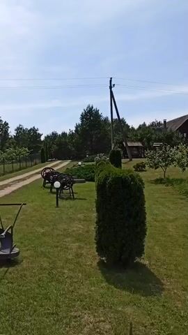 A wide shot captures a sunny day in a grassy outdoor area. In the foreground, a lawnmower and a watering can are partially visible on the left. A large, dark green evergreen hedge stands prominently in the center, casting a shadow on the well-maintained lawn. To the left of the hedge, a dirt path leads into the distance, bordered by a fence. Two antique-looking pieces of farm equipment, possibly threshing machines or seeders, are placed on the grass near the path. Further back, several young trees with green foliage are scattered across the landscape. A rustic wooden structure, possibly a shed or gazebo, is nestled among the trees. A large, traditional wooden house with a red roof dominates the background on the right. Power lines and a utility pole are visible against the clear blue sky. The scene is peaceful and evokes a sense of rural tranquility.