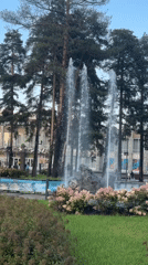 Hydrangeas and fountains in a Sosnoviy Bor park