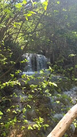 The video shows a small waterfall viewed through the greenery of a forest. In the foreground, there is a wooden bridge, constructed from logs, spanning the stream below. The camera pans slightly to the right, following the bridge as it extends into the woods. The waterfall is partially obscured by the dense foliage, but its cascading water can be seen flowing over rocks and into the stream. Sunlight filters through the leaves, creating bright spots on the water and vegetation. The environment is lush and green, suggesting a natural, possibly untouched, area.