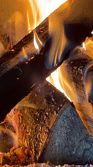 Rural resident documents fires and spring garden in Перевозное