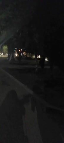 The video shows a dark outdoor scene, likely a park or public space at night. Several trees with visible branches are scattered throughout the frame, casting shadows and obscuring parts of the background. Distant lights, possibly streetlights or decorative lighting, are visible in the background, creating a somewhat blurry and illuminated area. The foreground is dark, with a paved pathway or sidewalk in the lower left. Some indistinct figures and objects appear to be present in the mid-ground, but their details are not clear due to the low light conditions and the quality of the video. The overall impression is of a quiet, dimly lit environment.