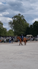 Parisians enjoy typical spring afternoon in city parks