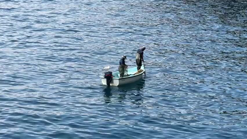 In Mers El Hadjadj, Algeria, two fishermen are actively engaged in their work on a calm, blue sea. They are aboard a small, white boat equipped with an outboard motor. One fisherman, dressed in a light-colored shirt and dark pants, stands towards the front of the boat, seemingly preparing or handling fishing gear. The second fisherman, wearing a dark shirt and pants, stands towards the rear, also appearing to be involved in the fishing process, possibly casting a net or tending to equipment. A seagull is perched on the edge of the boat, adding a natural element to the scene. The water is slightly rippled, suggesting a gentle breeze. The lighting indicates it is daytime, likely late morning or afternoon, with the sun casting soft reflections on the water. The overall impression is one of peaceful, focused labor in a coastal environment. There is no visible text in the media file.
