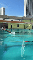 Morning scenes: pool diving and playful dogs in Nha Trang