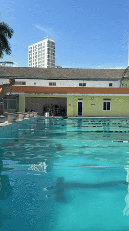 Morning scenes: pool diving and playful dogs in Nha Trang