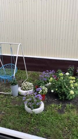 A garden scene shows a light-colored, corrugated metal wall in the background. In front of the wall is a dark brown foundation. To the left, a white swing set frame supports a blue woven chair swing. To the right of the swing, a gray pot holds a small plant. In the center, a garden bed contains several potted plants. Two of these pots are made from white-painted tires, one holding white flowers and the other purple flowers. A red pot with white flowers is also visible. Behind these, a large bush with white and green hydrangea flowers is in bloom. The ground is covered with green grass and dark soil. The overall lighting suggests an overcast day.