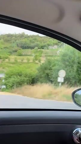 The video captures a view from inside a moving vehicle. The first segment shows blurred greenery through the car window, suggesting speed. The second segment reveals a person's hands on the steering wheel as they drive. The third and fourth segments offer a view of the road ahead and a body of water to the side, with trees and hills in the background under a cloudy sky. The reflection in the side mirror shows the interior of the car and the passing scenery. The overall impression is of a journey through a natural landscape.