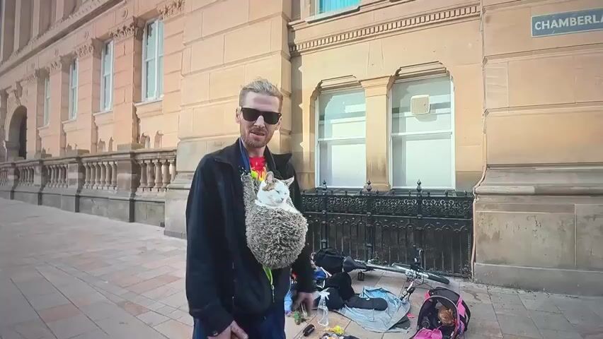 A man wearing sunglasses and a black jacket is standing outside a building. He is holding a smartphone in his hand and looking at it. A cat is in a hedgehog-shaped carrier attached to the front of his jacket. To the right of the man, there is a bicycle with some bags and belongings on the ground next to it. One of the bags contains another cat in a pink carrier. The man appears to be talking to someone off-camera or recording himself. The building behind him is made of stone with large windows and decorative columns. There is a street sign that says "CHAMBER..." visible on the right side of the building. The ground is paved with light-colored stones.