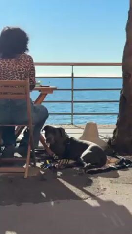A woman sits at a small, wooden table by the sea, facing away from the camera. She is wearing a leopard-print shirt and jeans. A large, gray dog lies at her feet, under the shade of the table and a tree.  Behind them is a metal railing and the ocean, with a clear, blue sky above. In the background, people walk past on the sidewalk. A seagull walks along the concrete barrier by the ocean in the distance.