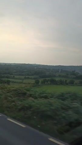 The video is a first-person perspective shot from a moving vehicle, likely a car or bus, looking out the side window. The scene is a rural landscape with rolling hills covered in lush green trees and fields. The sky is overcast with a pale, soft light, suggesting either early morning or late evening. The foreground shows a blurry strip of asphalt road with a white line marking the edge. Dense green foliage, possibly bushes or ferns, is visible directly outside the window, creating a sense of motion blur. The overall impression is one of a peaceful, scenic drive through the countryside.