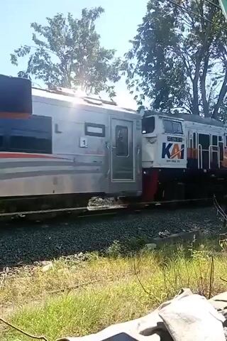 A silver train with orange and gray stripes is moving past the camera on a sunny day. The train has dark tinted windows. In the background, there are green trees and a bright blue sky. The train tracks are visible in the foreground, with gravel and some green grass and foliage.