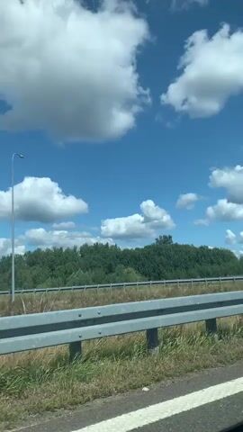 A bright, sunny day with fluffy white clouds in a clear blue sky is visible. The view is from a moving vehicle on a highway, looking towards the side of the road. A metal guardrail runs parallel to the road, with some dry grass and weeds growing underneath and to the side of it. Beyond the guardrail, a dense line of green trees forms a horizon. A road sign with a red chevron pointing to the left is visible on a pole. The road surface itself is visible in the foreground with white lines marking the lanes. The concrete barrier separating lanes appears to be a Jersey barrier.