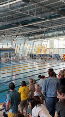 Swimming competition draws spectators at Sofia indoor pool facility