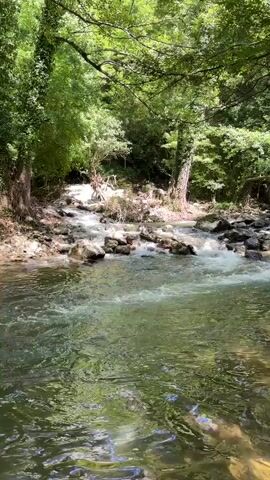 The video shows a fast-flowing river with clear, green water rushing over rocks in a forest. Sunlight filters through the dense green leaves of the trees, creating dappled patterns on the water's surface. The riverbanks are lined with rocks and trees. There are no people visible in the video. The scene is peaceful and natural, with the sound of the rushing water being the primary focus.