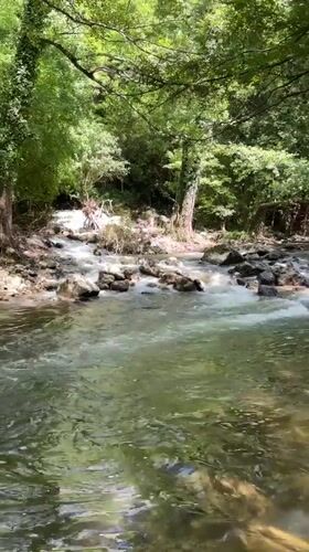 Forest stream in Dryanovo shows varying flow and light patterns
