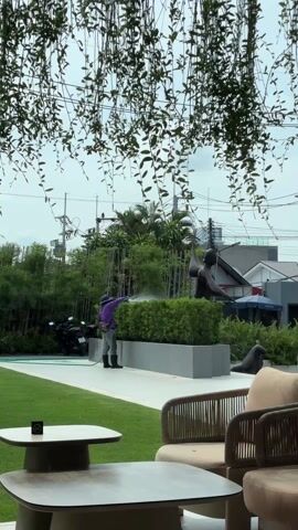 A gardener waters a hedge in front of a sculpture in a garden. The gardener, dressed in a purple shirt, hat, and grey boots, stands behind a concrete planter, using a hose to spray water onto the hedge. Behind the hedge is a bronze-colored statue of a person holding a large oar-like object aloft. A green lawn stretches to the side, furnished with a small, round table and wicker armchairs. Overhanging the scene is a leafy vine that frames the view. In the background are other buildings, bamboo, and parked motorcycles.
